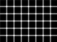 Optical Illusions